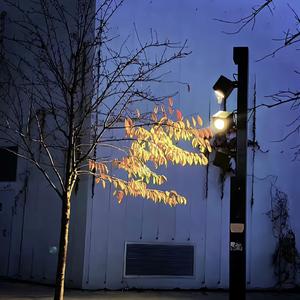 [Free]我学会等待—罗言 keshi type beat