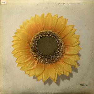 Strange (feat. Lusty Apricot) (Instrumental)