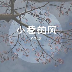 折风枕梦 · 小巷的风
