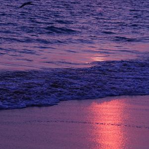 不是因为寂寞才想你