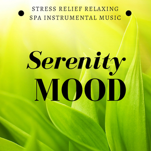 Zazen (Buddha Seated Pose, Meditation Songs)