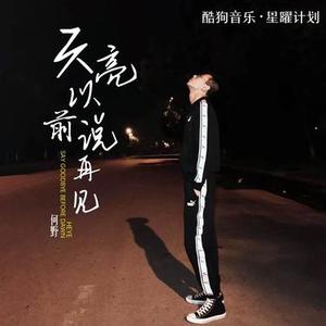 天亮以前说再见