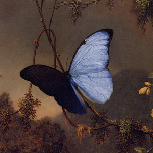 Chemtrails Over The Country Club