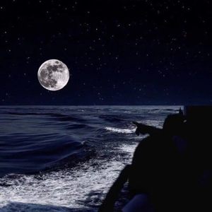 满天星河坠入大海