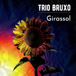 Um girassol da cor do seu cabelo