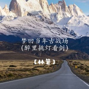 梦回当年古战场（醉里挑灯看剑）