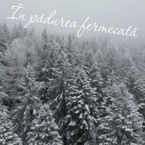 În pădurea fermecată