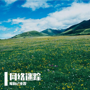网络迷踪