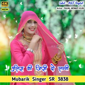 Mubarik Singer SR 3838