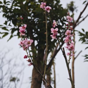 我活在过去你活在我过去