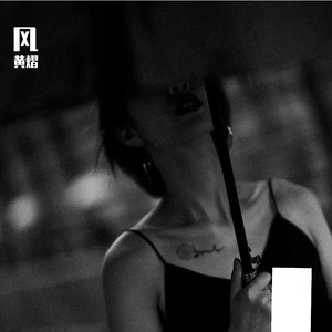 风 1.0