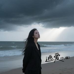 逃爱（DJ版）