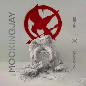 Mocking Jay(嘲笑鸟）