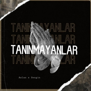 Tanınmayanlar