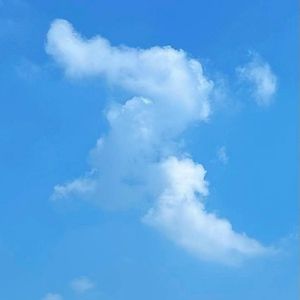 随性傲娇的白云