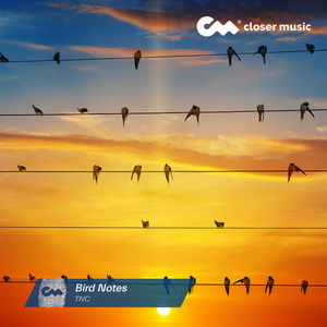 Bird Notes (Instrumental)