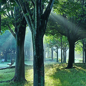 さよならの街角 (インストゥルメンタル)