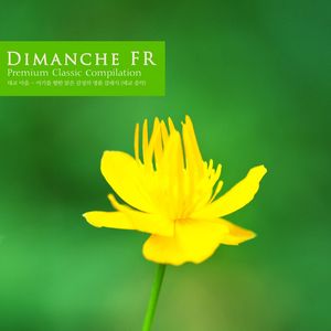 Schumann: Concert Piece For Four Horns In F Major Op.86 - I. Lebhaft