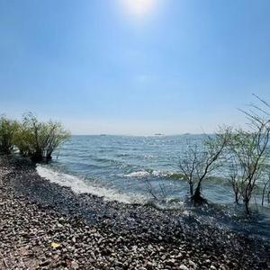 小行迹 (Cover 赵雷)