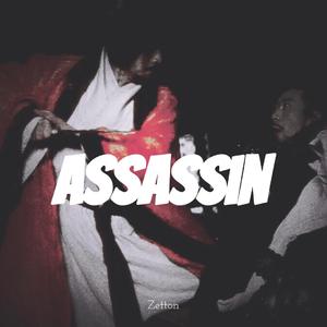 the Assassin (Original Mix)