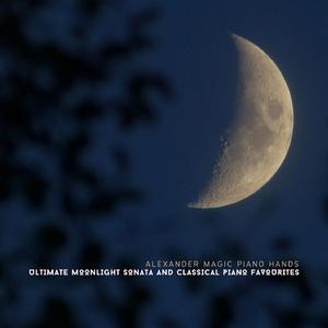 Études Op. 10: V. Etude in G♭ major 'Black Keys'