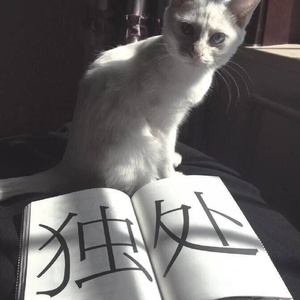 成全（Cover 林宥嘉）