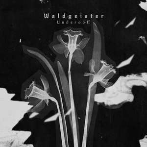 Waldgeister