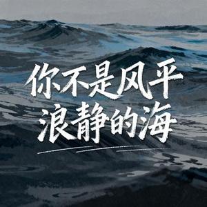 你不是风平浪静的海 (Cover 赵乃吉)