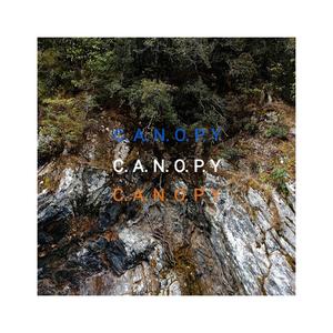 Canopy