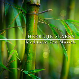 Ontspanningsoefeningen