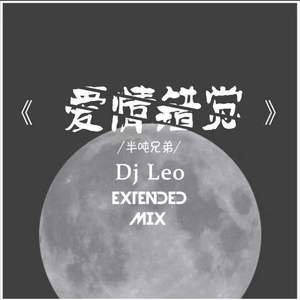 老二道（半吨兄弟） - 爱情错觉 (Dj Leo Extended Mix)