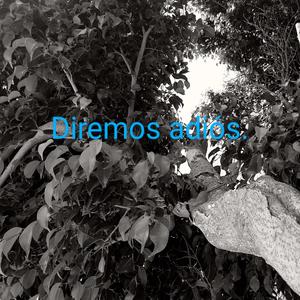 Diremos Adios