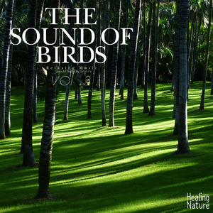 명상을 하며 듣는 자연의 숲 소리