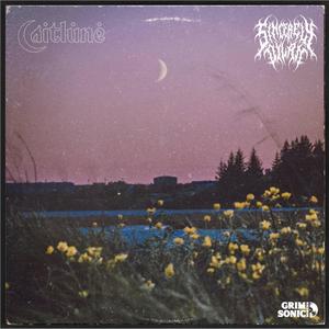 A Lot More Love (feat. Caitlune)