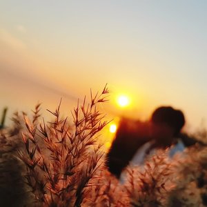 我最在乎的你（手机录音版)）