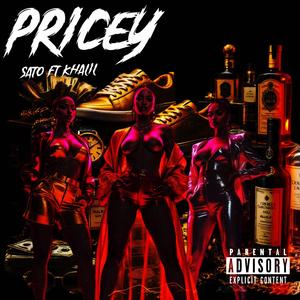 Pricey (feat. Khalil)
