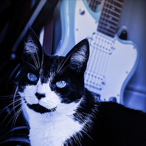 Myriad (Live Lockdown Session)