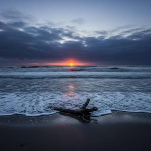 ที่พักชั่วคราว (Temporary Room)