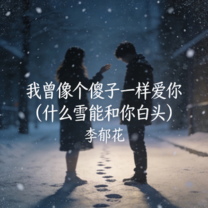 我曾像个傻子一样爱你 (什么雪能和你白头)