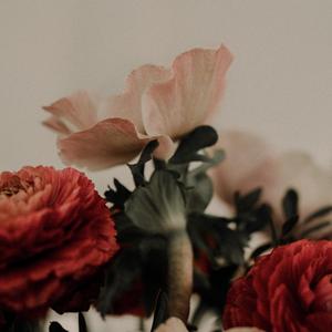 看庭前花开花落