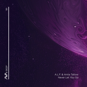 Never Let You Go (Extended Mix)