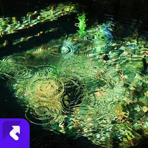 总是莫名的难过，总是忽然的失落 (现场)