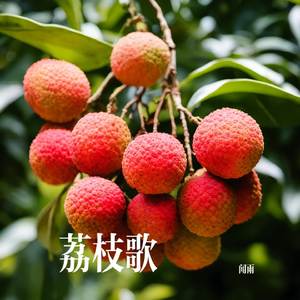 荔枝歌