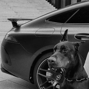 Shahmen - Mark (Festum Remix)