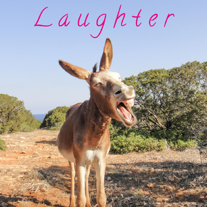 Laughter