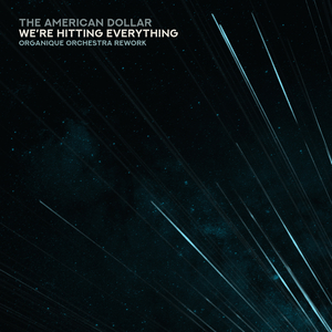 We’re Hitting Everything (Organique Orchestra Rework)