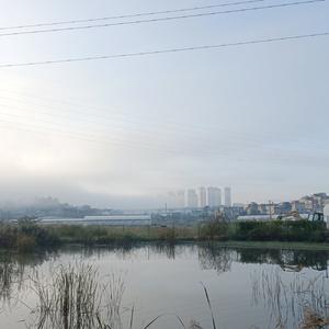 不如就当你死了就好