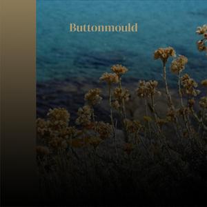 Buttonmould