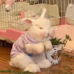 第三人称（cover：Hate.）