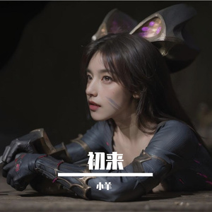 我不是你的先生宋冬野